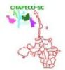 1090 - Chapecó/SC - Bairros - monte o mapa dos bairros da cidade de Chapecó/SC