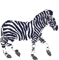 zebra.gif
