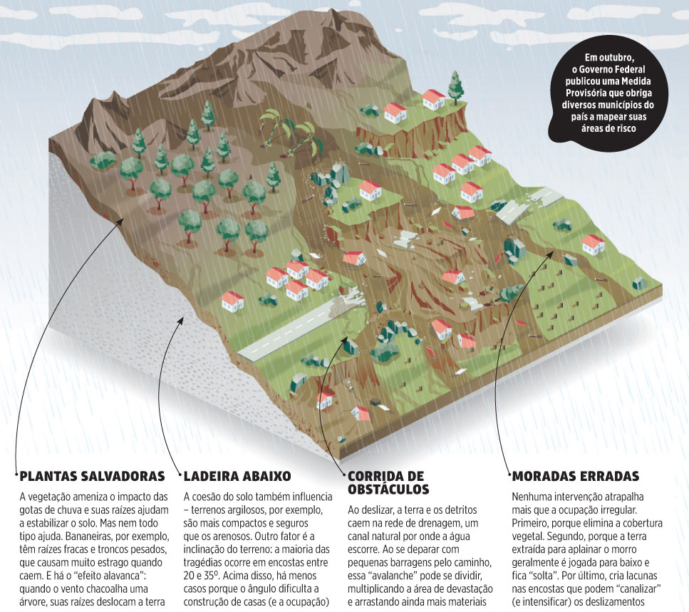 A vegetação pode prevenir um deslizamento de terra?